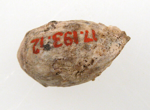Cherry Stone from a Tomb