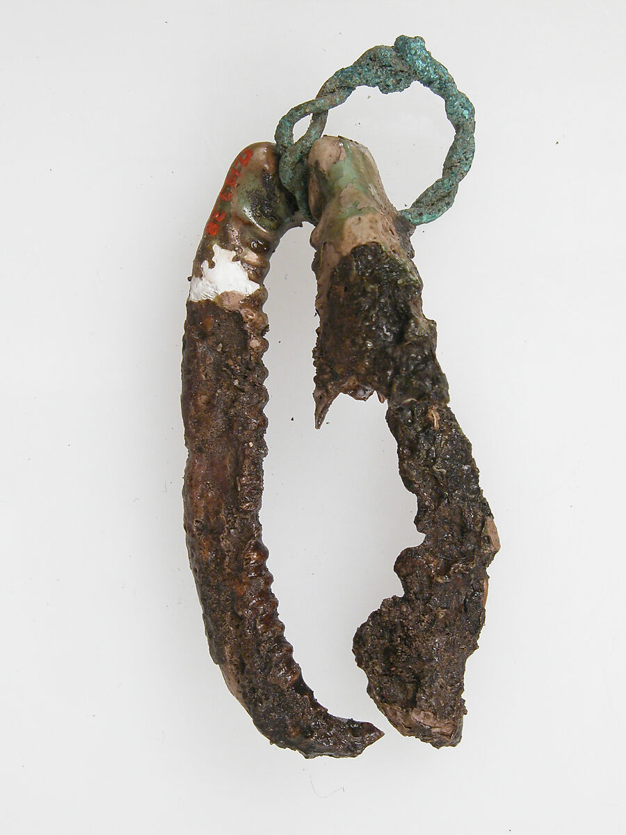 Shell with wire ring, Shell, copper alloy ring, Frankish