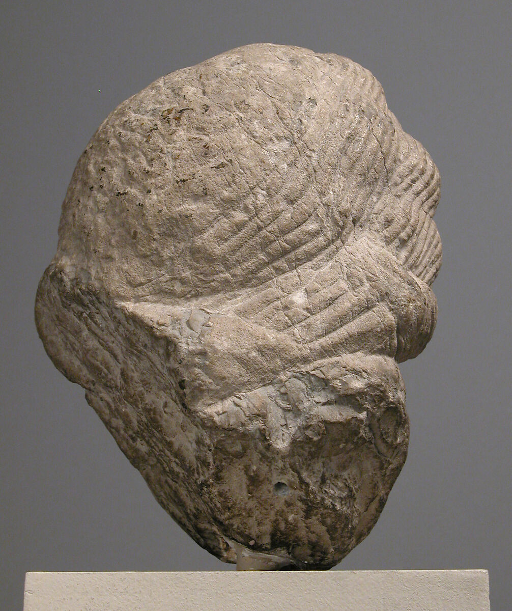 Head of a Youth, Limestone, French
