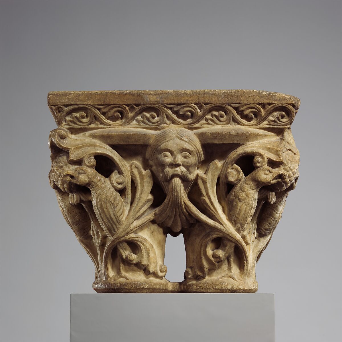 Double Capital with Masks and Birds