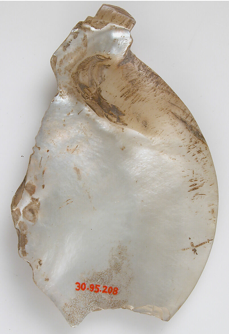 Shell Fragment, Mother-of-pearl, German