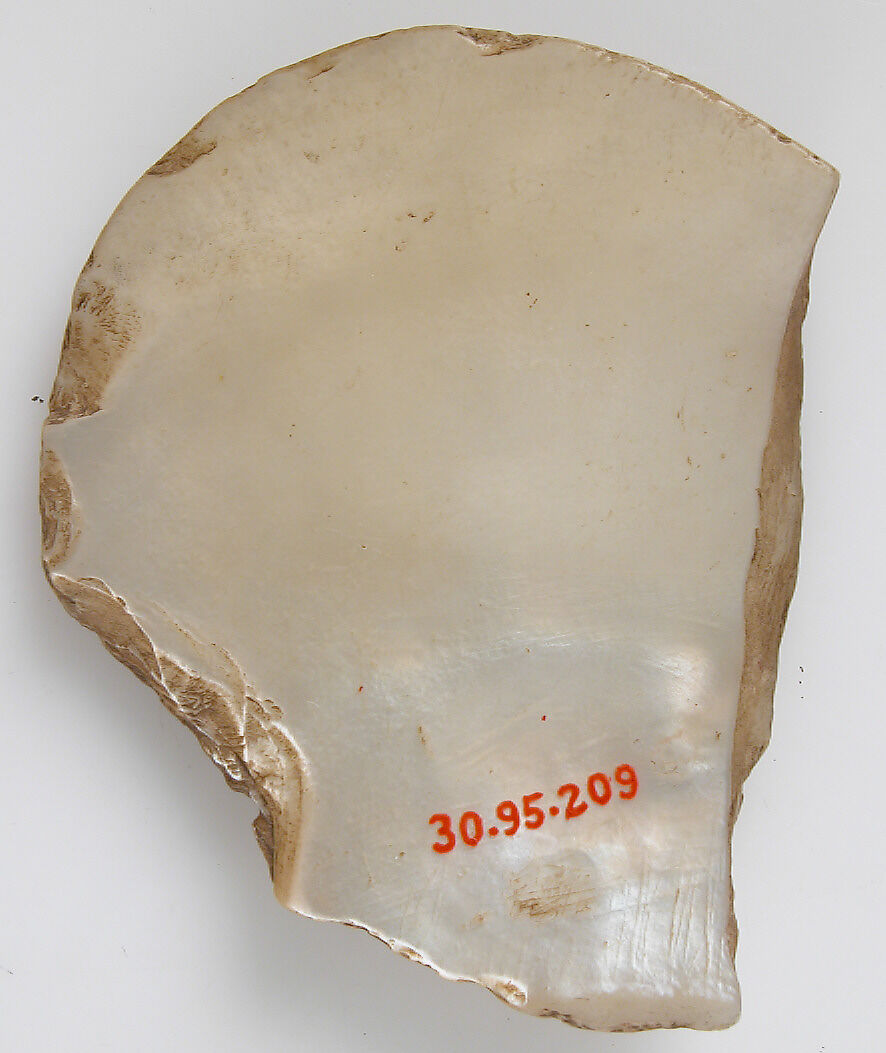 Shell Fragment, Mother-of-pearl, German