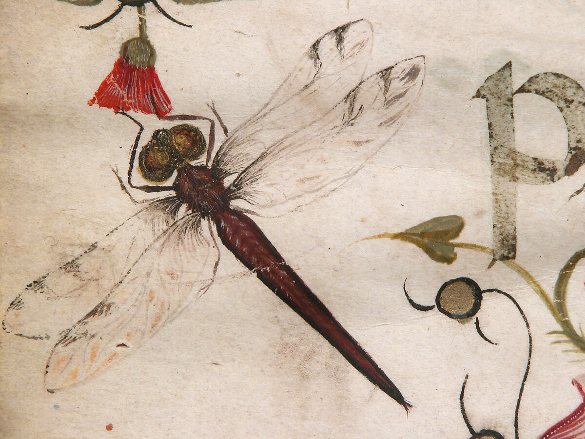 Manuscript Leaf with the Visitation in an Initial A and Cardinal Adam Easton with a Dominican Saint and Saint Dominic, from an Antiphonary, Tempera, ink and gold on parchment, Italian