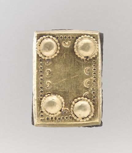 Gold Back Plate