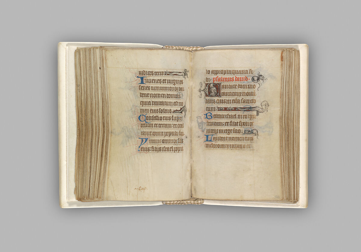 The Hours of Jeanne d'Evreux, Queen of France, Jean Pucelle (French, active Paris, 1319–34), Grisaille, tempera, and ink on vellum, French