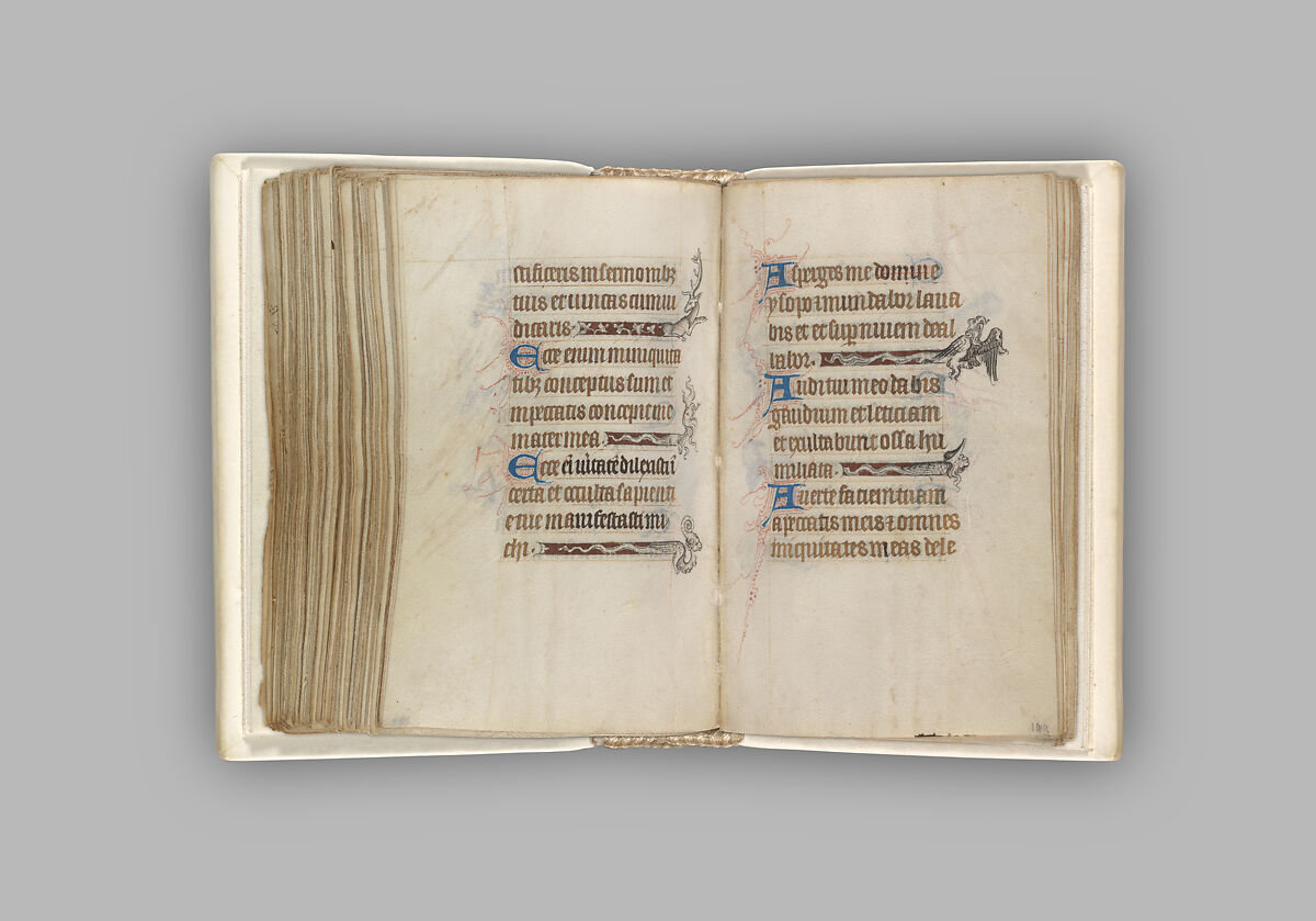 The Hours of Jeanne d'Evreux, Queen of France, Jean Pucelle (French, active Paris, 1319–34), Grisaille, tempera, and ink on vellum, French