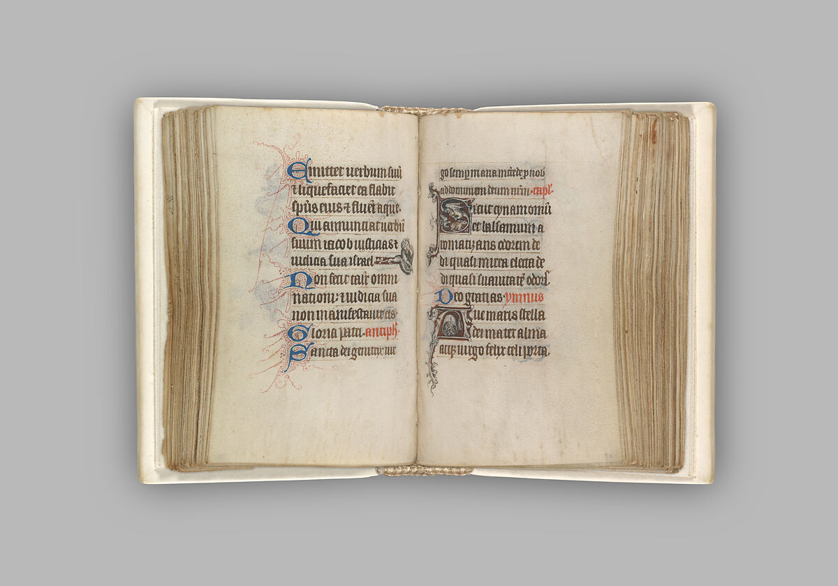 The Hours of Jeanne d'Evreux, Queen of France, Jean Pucelle (French, active Paris, 1319–34), Grisaille, tempera, and ink on vellum, French