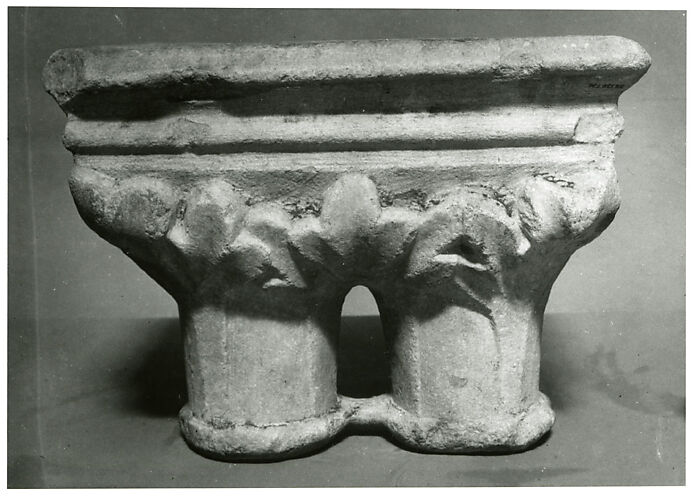 Double Capital
