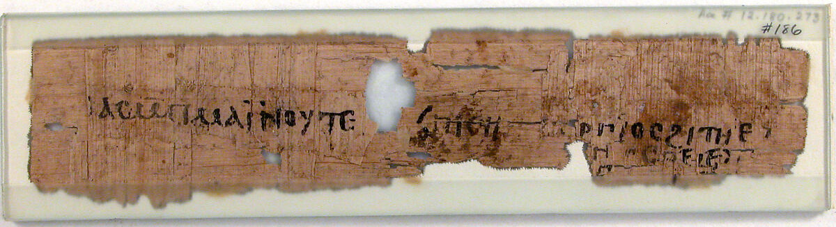 Papyrus, Papyrus and ink, Coptic