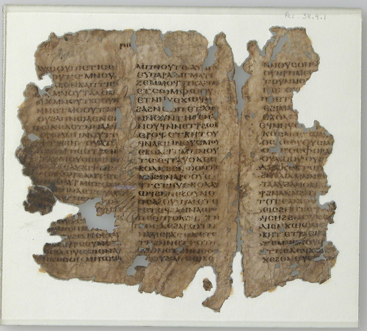 Manuscript Leaves Fragment, Ink on parchment, Coptic 