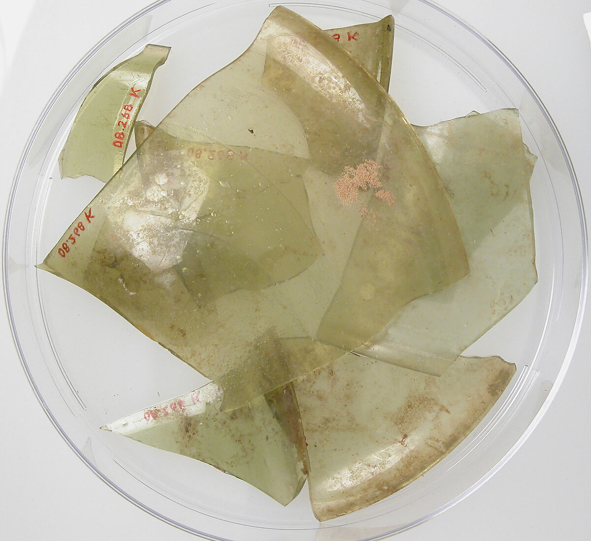 Glass Fragments from a Vessel, Glass (green), Coptic 