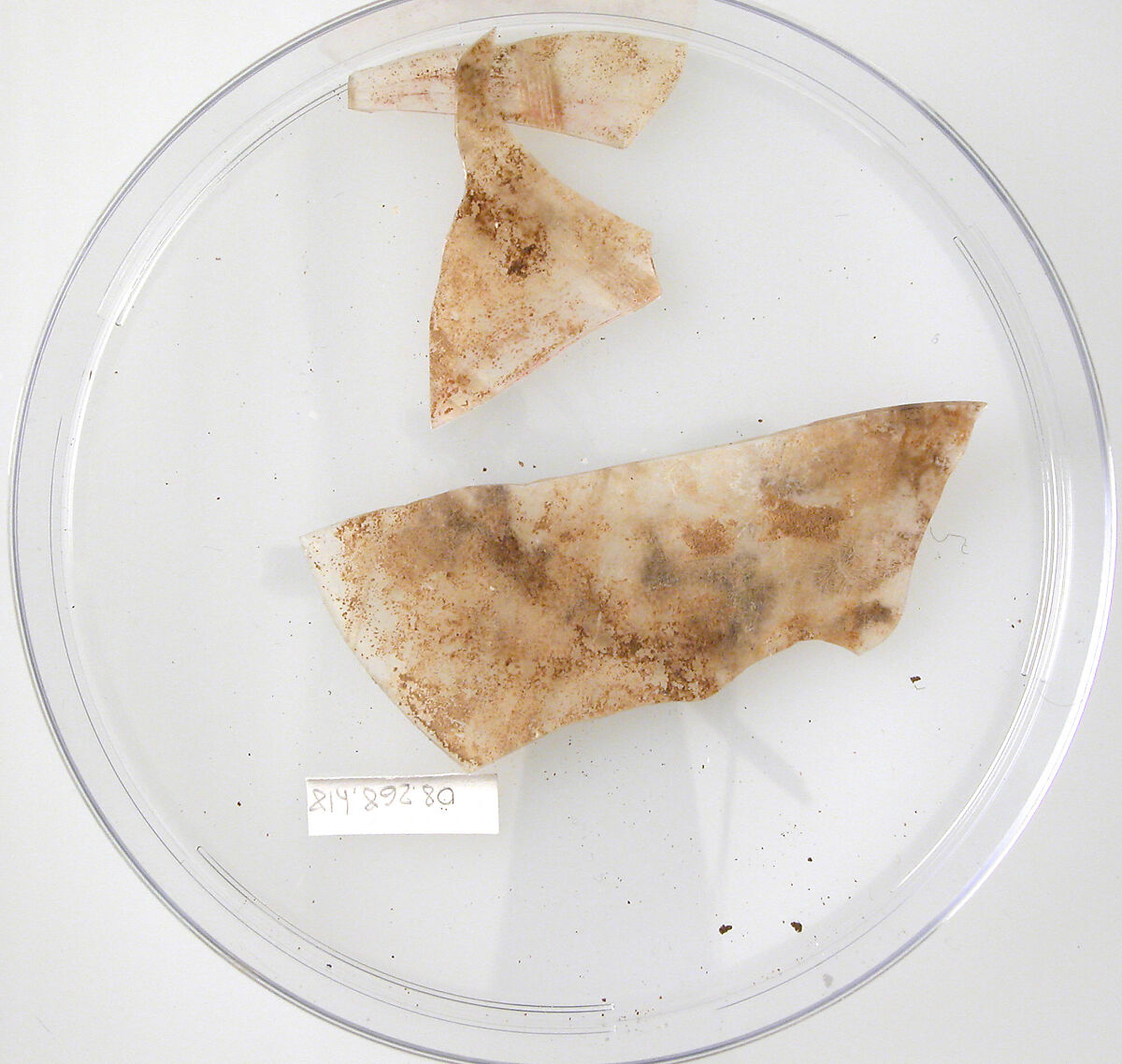 Glass Fragments, Glass (clear), Coptic 