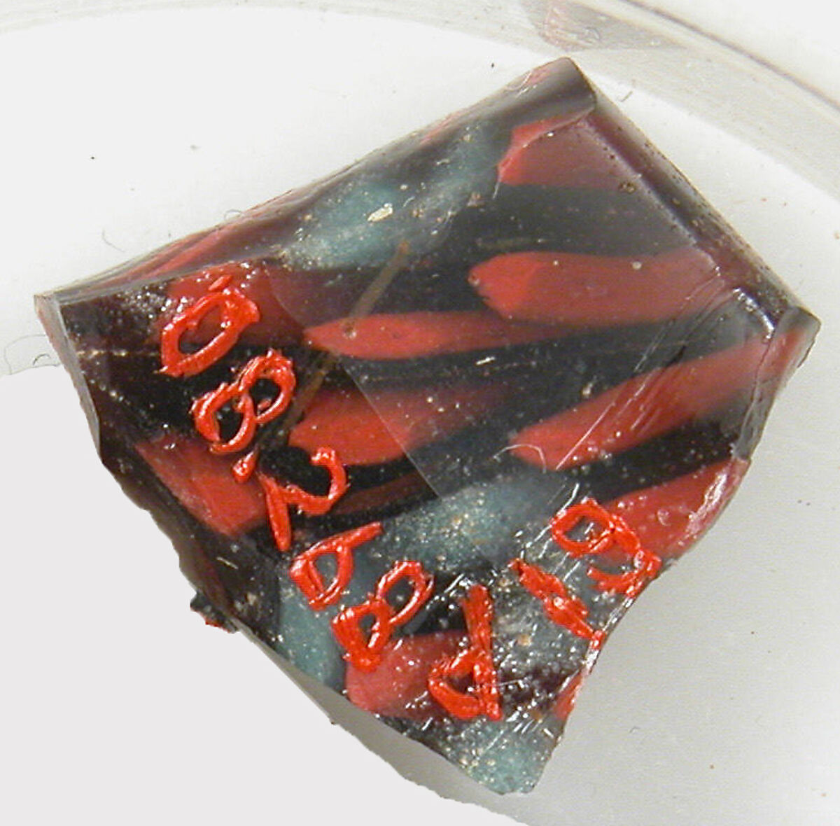 Glass Fragments from a Vessel, Glass, Coptic