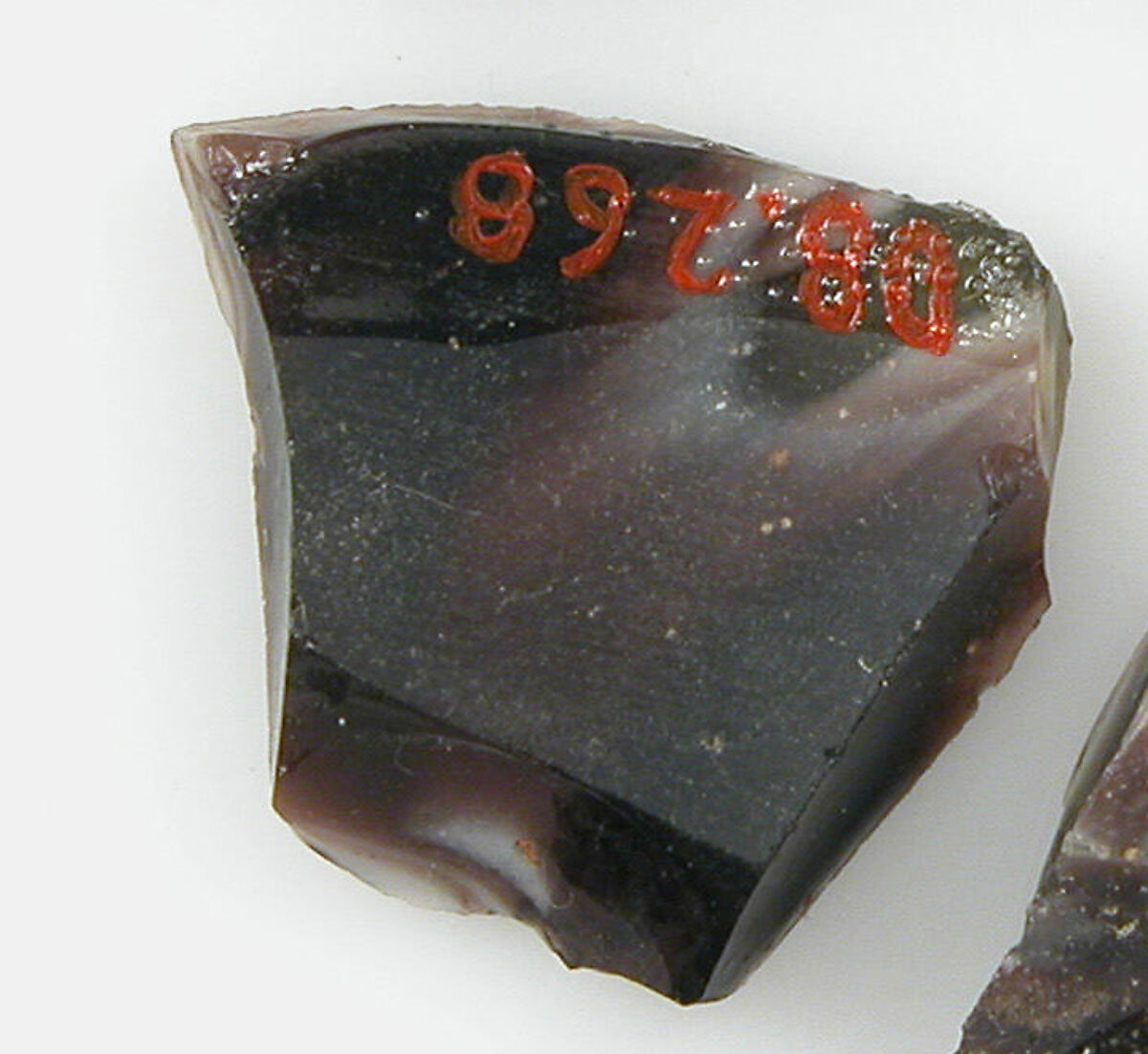Glass Fragments from a Vessel, Glass, Coptic