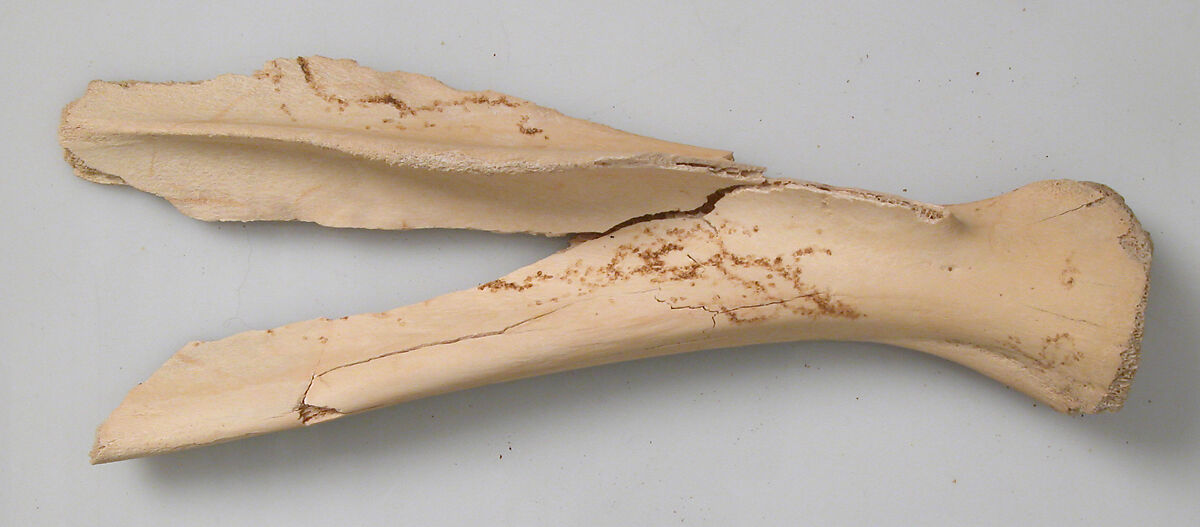 Bone Fragment, Bone, Coptic