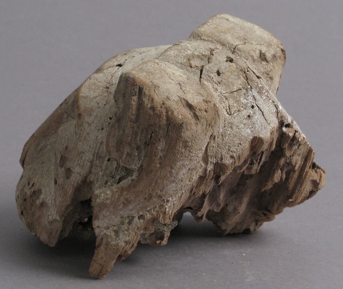 Head of Lion, Wood, Coptic