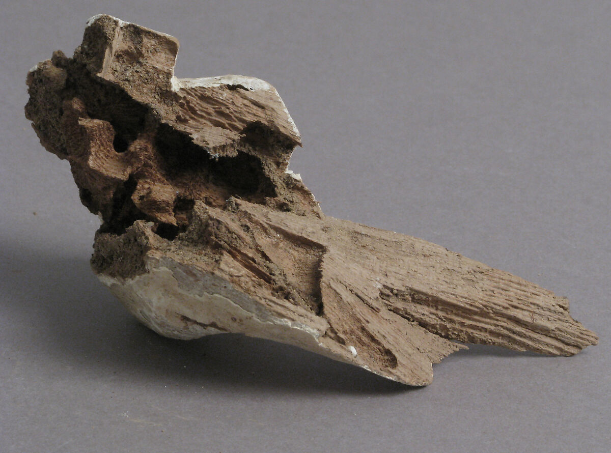 Claw Fragment, Wood, Coptic