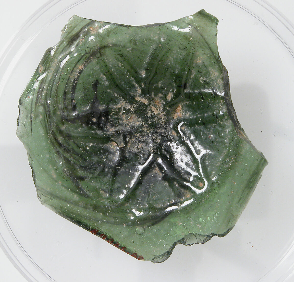Glass Fragment with Pressed Flower, Glass, Coptic 