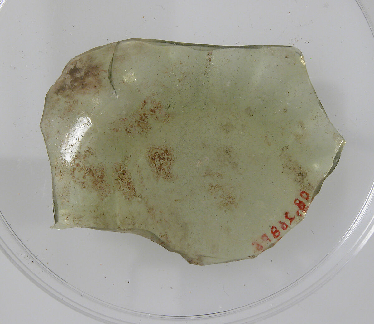 Bottom of a Vessel, Glass, Coptic 