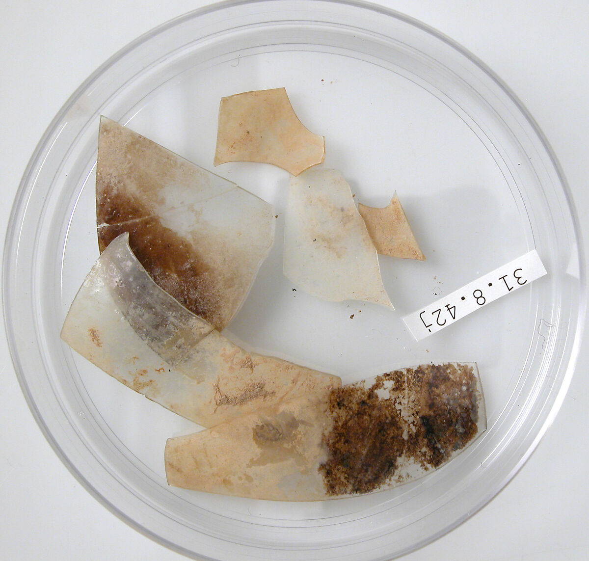 Glass Fragments, Glass, Coptic 
