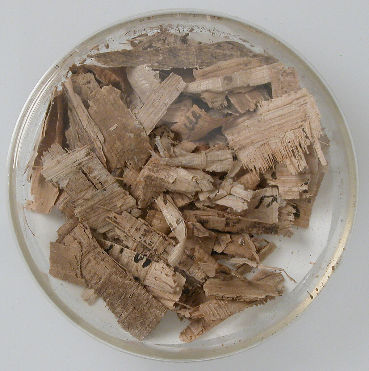 Papyri Fragments, Papyrus and ink, Coptic 