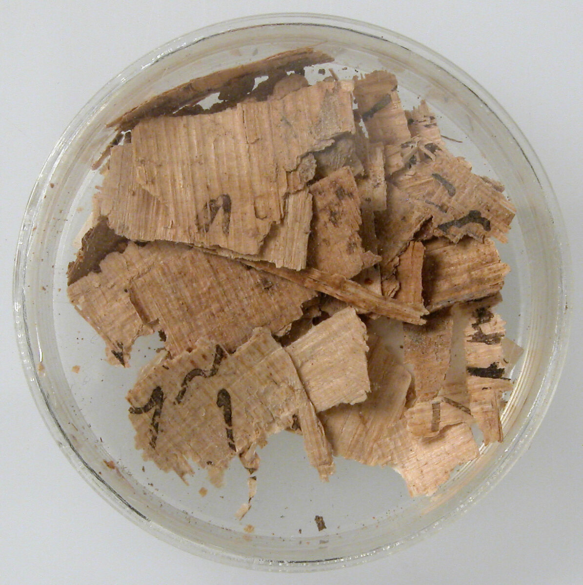 Papyri Fragments, Papyrus fragments, Coptic 