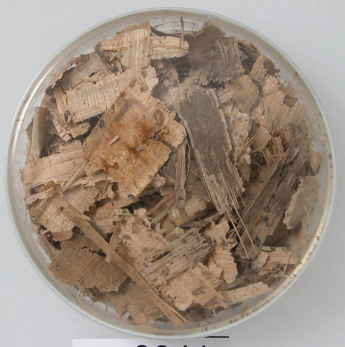 Papyri Fragments, Papyrus and ink, Coptic 