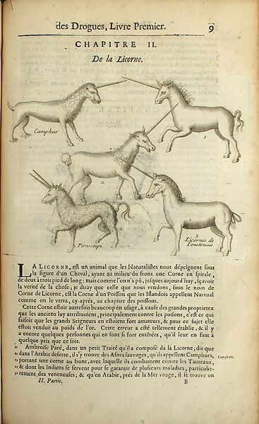 Histoire générale des drogues (General History of Drugs), Pierre Pomet (French, Paris 1658–1699 Paris), Engraving in printed book, French (Paris) 