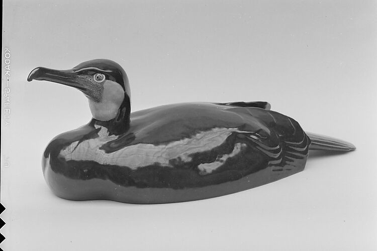 Figure of Cormorant