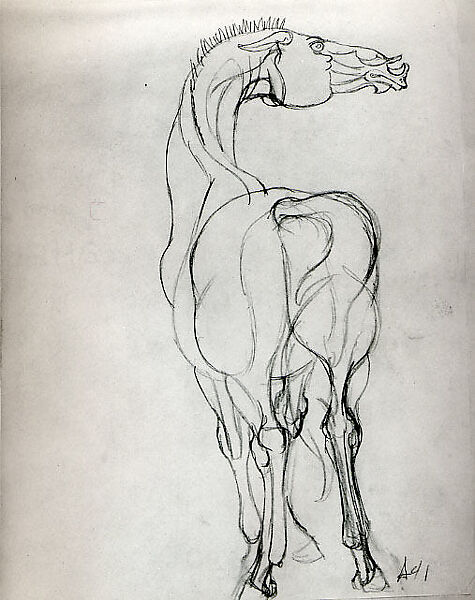 Horse, Peter Agostini (American, New York 1913–1993 New York), Graphite on tracing paper 