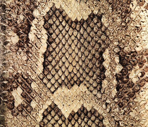 Cigarette Case, Pierre Legrain (French, Levallois-Perret 1889–1929 Paris), Snake skin, dyed and tooled leather, gold leaf