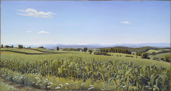 Cambridge Corn, Marjorie Portnow (American, born 1942), Oil on canvas 