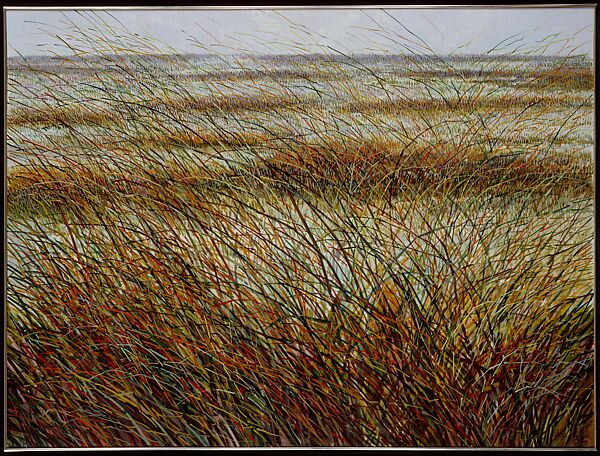 The Big Wetland I