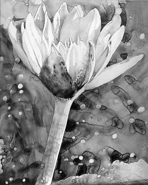 Spring Lily for Robert Prather, Joseph Raffael (American, born New York, 1933), Watercolor on paper 