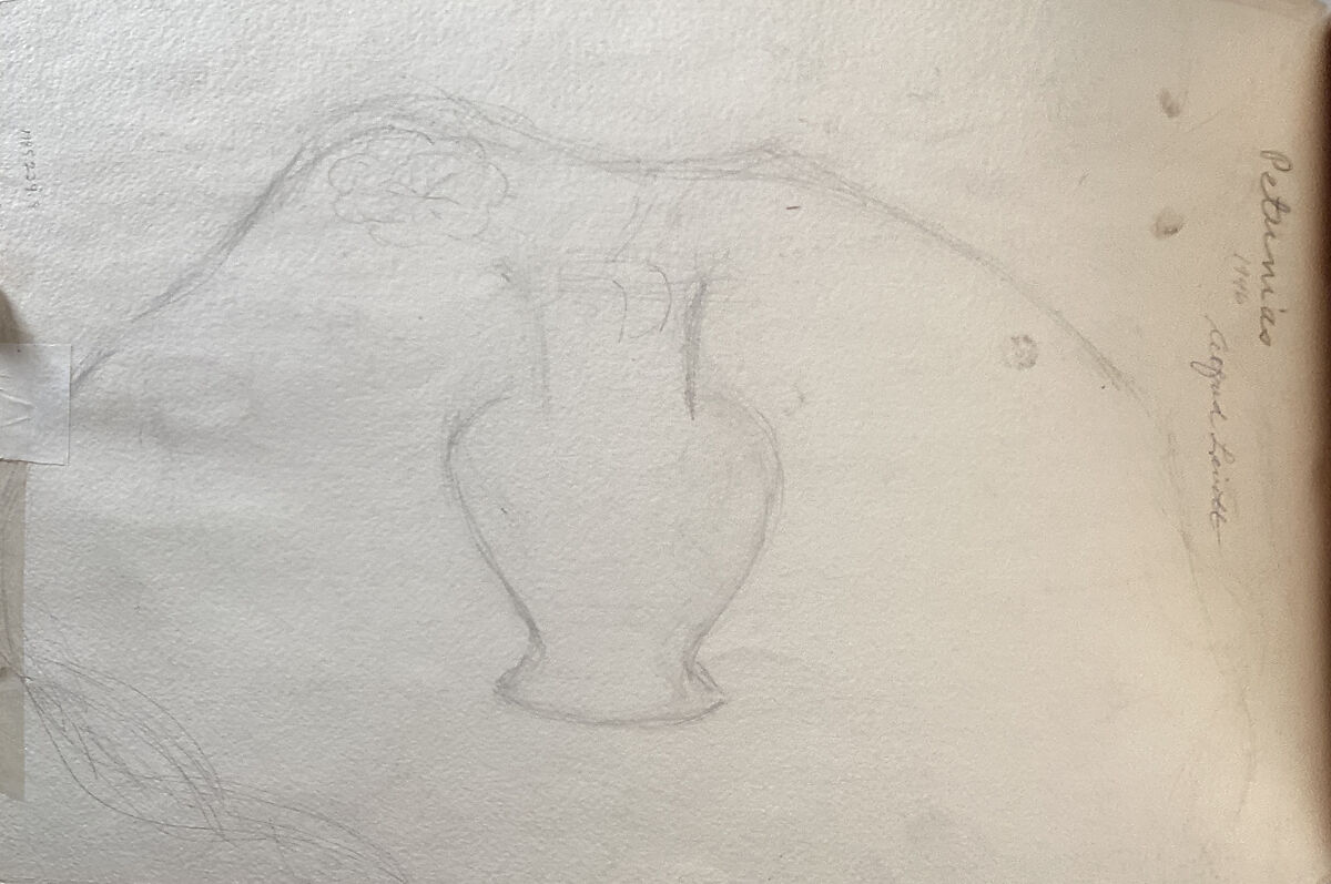 Petunias, Alfred Levitt (American, 1894–2000), Watercolor and brush and pen and black ink on paper (recto); graphite on paper (verso)