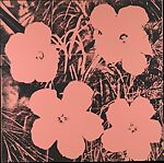 Flowers, Andy Warhol  American, Acrylic and silkscreen enamel on canvas