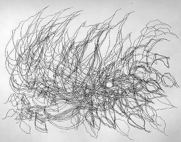Leaves, Charles Seliger (American, New York 1926–2009 New York), Pen and ink on paper 
