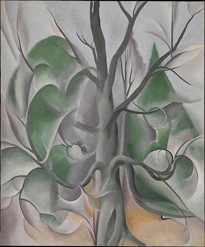Grey Tree, Lake George