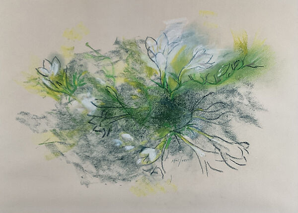 White Freesia, Loren MacIver (American, New York 1909–1998 New York), Oil pastel on paper 