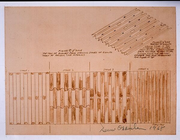 Ground Cover, Dennis Oppenheim (American, Electric City, Washington 1938–2011 New York), Sepia line print 