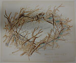 Mirror Thicket (Indoor or Outdoor)