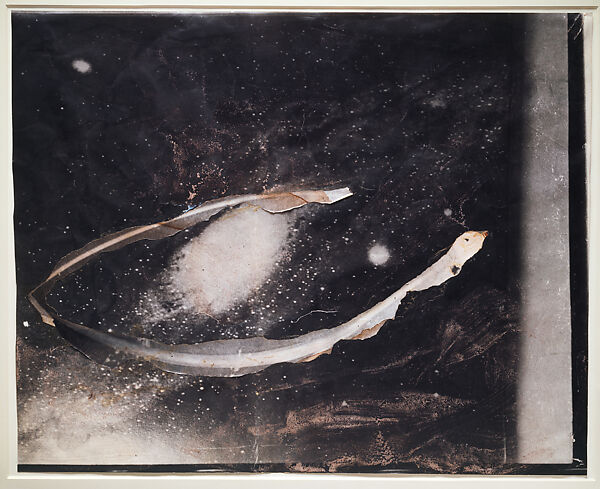 Astral Snake, Anselm Kiefer (German, born Donaueschingen, 1945), Torn and pasted photographs, shellac, and watercolor on photograph 