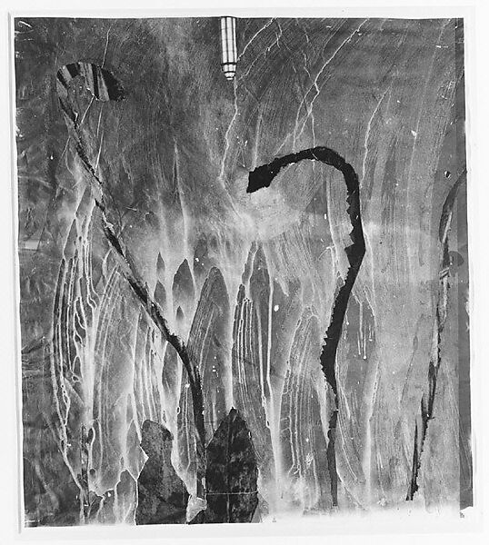 Miracle of the Serpents, Anselm Kiefer (German, born Donaueschingen, 1945), Torn and pasted photographs and shellac on photograph 