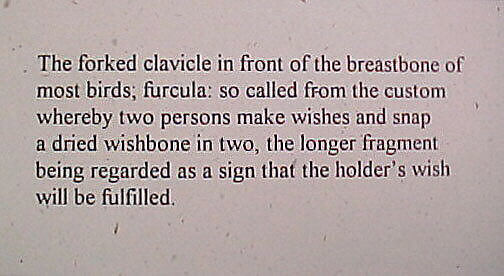 Untitled, Lorna Simpson (American, born Brooklyn, New York, 1960), Glass and printed paper