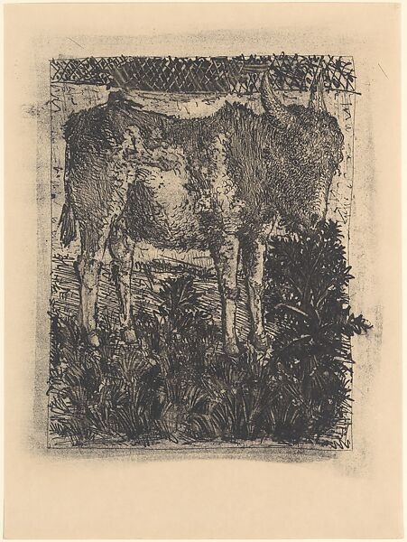Ass, from ¦Picasso: Original Etchings for the Texts of Buffon¦, Pablo Picasso (Spanish, Malaga 1881–1973 Mougins, France), Lift ground aquatint 