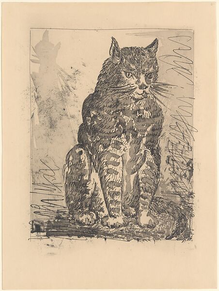 Cat, from ¦Picasso: Original Etchings for the Texts of Buffon¦, Pablo Picasso (Spanish, Malaga 1881–1973 Mougins, France), Sugar-lift aquatint and drypoint 