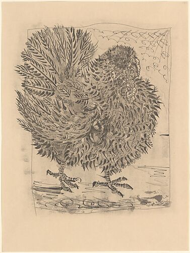 Turkey, from <i>Picasso: Original Etchings for the Texts of Buffon</i>