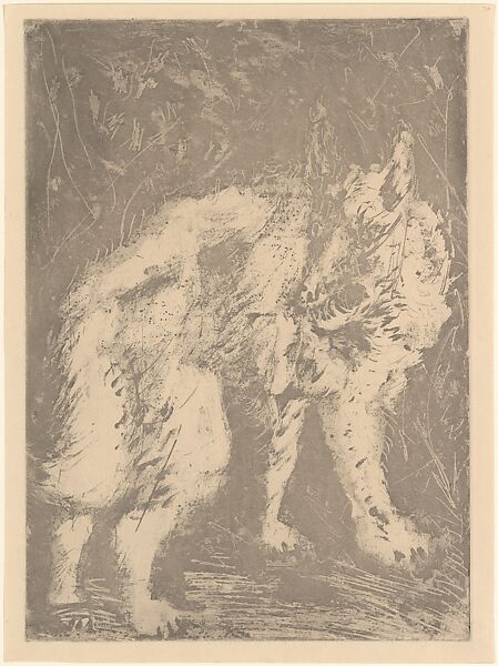 Wolf, from ¦Picasso: Original Etchings for the Texts of Buffon¦, Pablo Picasso (Spanish, Malaga 1881–1973 Mougins, France), Sugar-lift aquatint 
