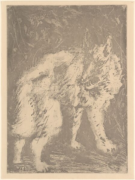 Wolf, from ¦Picasso: Original Etchings for the Texts of Buffon¦, Pablo Picasso (Spanish, Malaga 1881–1973 Mougins, France), Lift ground aquatint 