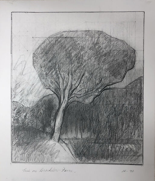 Tree on Bracklow Farm, Jake Berthot (American, Niagara Falls, New York 1939–2014 Accord, New York), Graphite on paper 